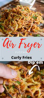Air Fryer Curly Zucchini Fries Recipe Air Fryer Recipes Healthy Zucchini Fries Air Fryer Recipes Easy