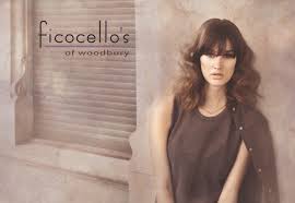 Our team is wildly creative, passionate about our craft and play well with others. Hair Cuts Make Over Home Ficocello S Of Woodbury Mn