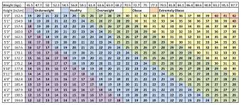 11 interpretive navy body composition chart