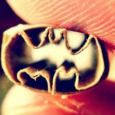 How To Roll A Joint Filter Peace Sign Love Quotes
