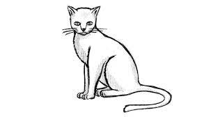 katze zeichnen lernen ubung mit einfachen formen video katze zeichnen tierzeichnung malen und zeichnen