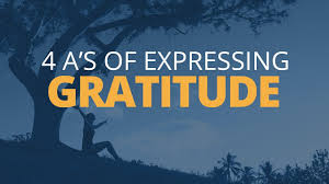 Some of the most valuable online resources in recent years have been ted talks. The 34 Best Videos And Ted Talks On The Power Of Gratitude
