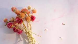 They come from the roots, stems, flowers, or seeds. 30 Of The Best Flowers For Dried Flowers Amazing Flower Decor Home Stratosphere