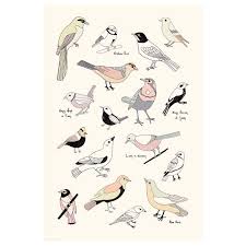 Ikea Bird Poster Ikea Picture Frame Ikea Bird Poster