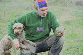 Lagotto romagnolo / italian water dog puppies available. Lagotto Romagnolo Breeding Il Monte Del Bianco