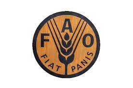 The brand new fao country showcase is a space where member countries can highlight their agricultural systems, innovations and food products. Gaining Global Understanding Through An Fao Internship