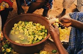 Image result for Cordyla