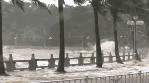 颱風雨量預報標準：黃色 雨量預報單上限達350mm以上且下限未達 紅色 雨量預報單上、下限皆達350mm以上 颱風風力預報標準：黃色 風力預報單上限達七級風以上且下限未達 紅色 風力預報單上、下限皆達七級風以上 åƒå¥‡ç™¾æ€ªçš„å°é£Žåå­— æ˜¯æ€Žä¹ˆå'½åå‡ºæ¥çš„ çŸ¥ä¹Ž