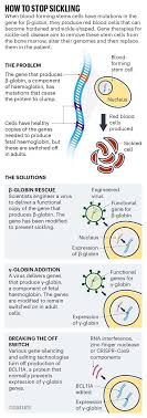 Pin On Stem Research Findings