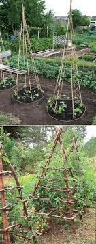 A Comprehensive Overview On Home Decoration In 2020 Garden Layout Vegetable Vegetable Garden Design Garden Layout