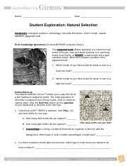 We did not find results for: Natural Selection Gizmo 2 Name Date Student Exploration Natural Selection Vocabulary Biological Evolution Camouflage Industrial Revolution Lichen Course Hero