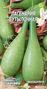 Image result for Lagenaria abyssinica