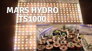 Grow lights play an extremely important role in growing succulents indoor. Mars Hydro Ts 1000 Led Grow Light For My Cactus Youtube