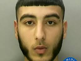 Pictures show horror injuries to young woman as hammer-wielding carjacker  is jailed