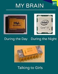 The Brain Programmer Jokes My Brain Best Funny Pictures