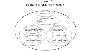 team based organizations a new organization structure