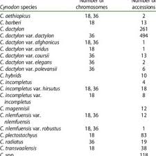 Image result for Cynodon incompletus