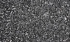 Find out your desired washed pebbles with high quality at low price. Pebble Wash Maxi Stone