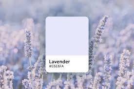 Get it as soon as wed, jul 7. Lavender Color Explained Color Codes Similar Shades And Symbolism Picsart Blog
