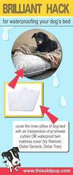 Diy Waterproof Dog Bed Hack Incontinence In Old Dogs Waterproof Dog Bed Covered Dog Bed Diy Dog Bed