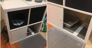 Cat Litterbox Storage In Ikea Kallax 2x2 Diy Katzenklo Schrank Katzen Toilette Katzen Klo