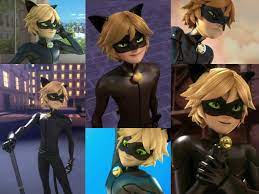 Chat Noir Miraculous Ladybug Anime Noir