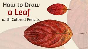How To Draw An Autumn Leaf With Colored Pencils Leaf coloring sheets are both interesting as well as educative.