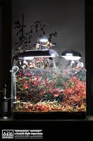 Dragons Sunset Aquascape Aquarium Aquarium Design Aquarium Fish