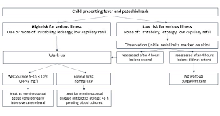 Any time your child becomes sick or injured, it can be scary. Management Of Children Presenting With Fever And Petechial Rash In The Download Scientific Diagram
