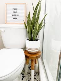 Bathroom Ideas With Fake Plants Bathroom Plants Decor Fake Plants Decor Bathroom Plants