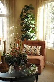 There are ways, though, to show houseplants the love they need to survive and even thrive during. How To Transition Houseplants Indoors For Winter