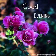 Good evening flowers basket so nice hd wallpaper. Good Evening Images Good Evening Wishes Quotes Photos