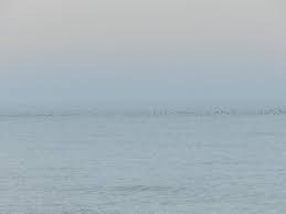 Charley was born in the uk, but has spent his life living in japan, ecuador, south africa, and now thailand. Ken Behrens The Birding Place