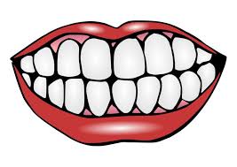 Oefenmond Om Te Poetsen Even Uitprinten En Plastificeren En Poetsen Maar Teeth Clipart Teeth Pictures Mouth Clipart