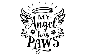 Download My Angel Has Paws Svg Cut Files Free Download Svg Files For Cricut Machine Yellowimages Mockups
