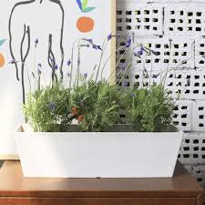 Maybe you would like to learn more about one of these? Buy La Jolie Muse Window Boxes Planters Rectangular Plastic Planter For Indoor And Outdoor Minimalist Chic Trapezoid Shaped Succulent Planter Matte White Set Of 2 21 7 X 6 X 5 8 Inches Online In Indonesia B08sc2rsv4