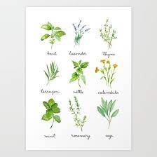 Pin On Illustrations By Imelda