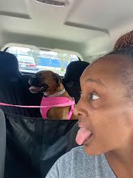 2nd walk: Broderick Park; glad to see the hurricane debris gone! Saw the  horses today & kids playing too!