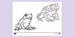 May 13th is frog jumping day (usa). Free Frog And Toad Ks1 Colouring Pages Twinkl Resources