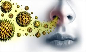 Antihistamine Side Effects When To Stop Taking Allergy Medication