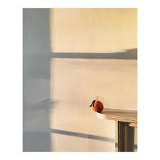 5 756 Likes 50 Comments Rich Stapleton Rvstapleton On Instagram Late Afternoon