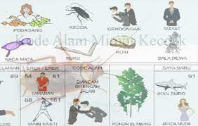 Kode Alam Mimpi Kecoak Menurut Erek Erek Dan Buku Primbon