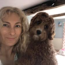 M6 solid stationary traffic southbound J37. Just come northbound and I  think it started between 36 burton services and 37. Not sure what's  happened.