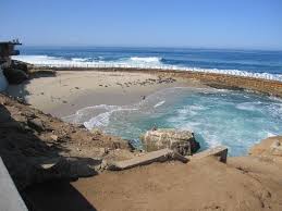 1920 x 1080 / mov / 818.5mb / prores 422 (hq) we are preparing your download. Children S Pool In La Jolla Ca It Was Supposed To Be A Children S Pool But The Harbor Seals Took San Diego Travel San Diego Activities California Vacation
