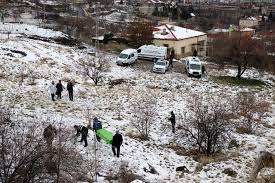 Kayseri De Sokak Kopekleri 14 Yasindaki Genci Oldurdu Turkiye Karamanca