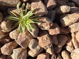 Established in 1994, kennedy landscaping provides a full range of professional landscaping services to commercial strata and residential clients. Scott Kennedy S Landscaping Supplies 22 60 Shaw Rd Shaw Qld 4818 Australia
