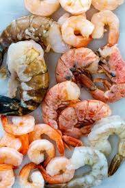 types and sizes of shrimp jessica gavin