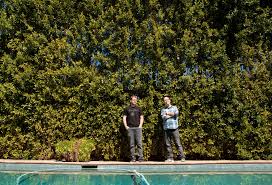 Andrew daly (born april 15, 1971) is an american actor, comedian, and writer. The Solar Opposites Creators Apologize For Their Clairvoyance The New York Times