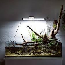 The First Picture Of My Swamp Project It Turned Out Awesome Just Have To Add Some More Details And Plants Do You Like It Vivarium Aquascaping Akvaryum