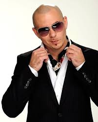 Check What New We Have In Store Love Pitbulls Pitbull Rapper Pitbull The Singer Pitbull Artist